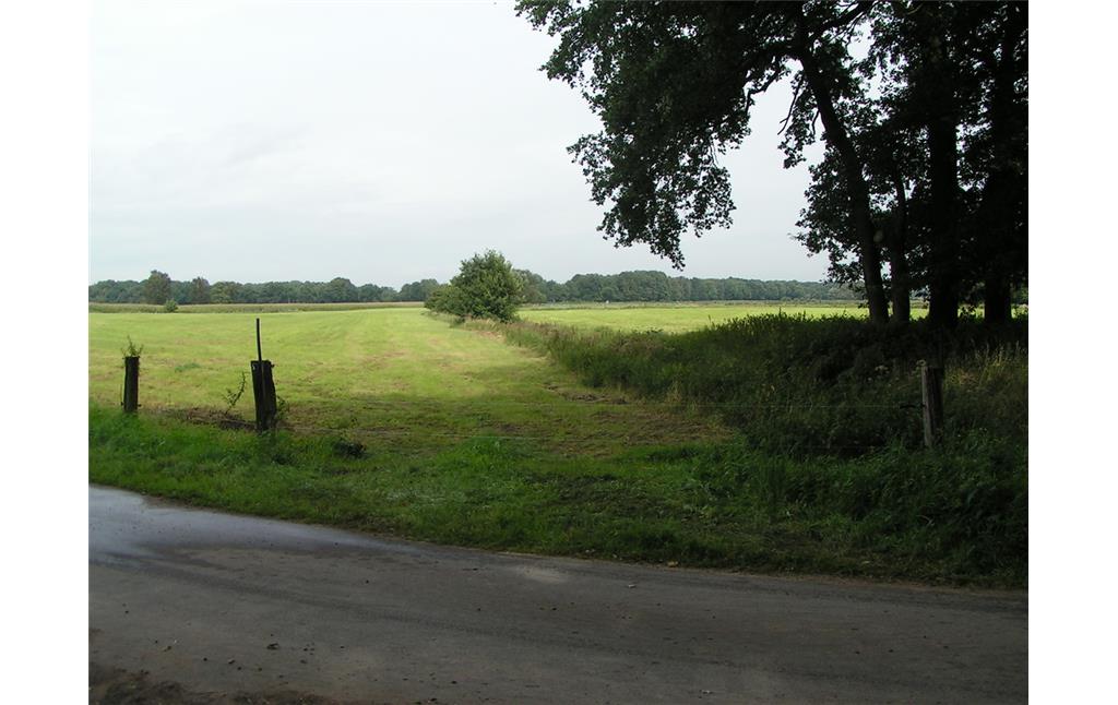 Weideflächen im Naturschutzgebiet "Torfvenn/Rehrbach". Die Flächen sind durch Zäune, Gräben und Hecken voneinander abgegrenzt (2008).