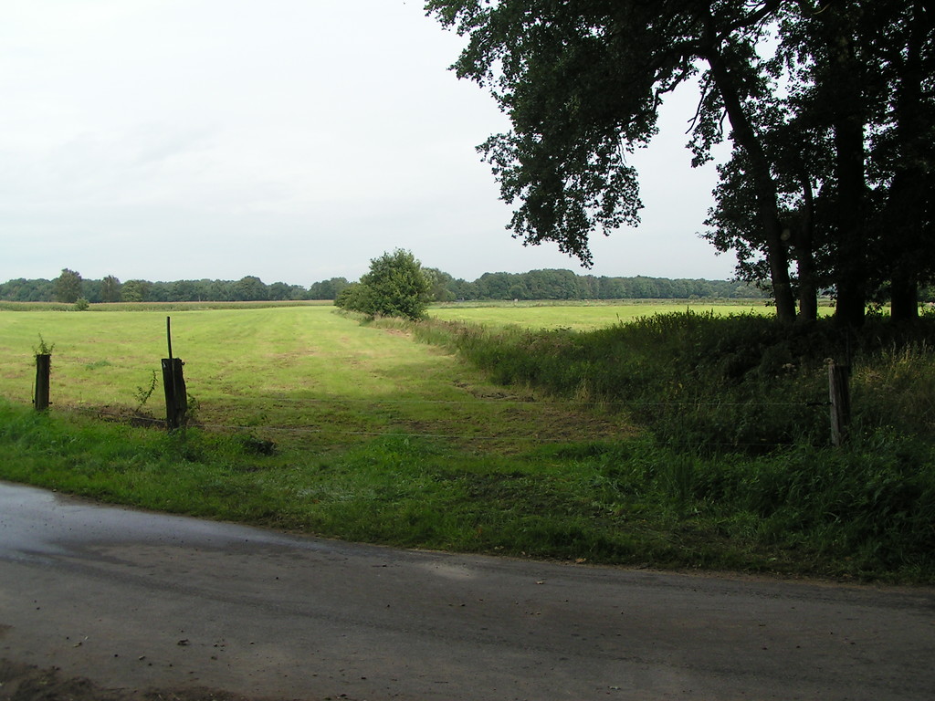 Weideflächen im Naturschutzgebiet "Torfvenn/Rehrbach". Die Flächen sind durch Zäune, Gräben und Hecken voneinander abgegrenzt (2008).