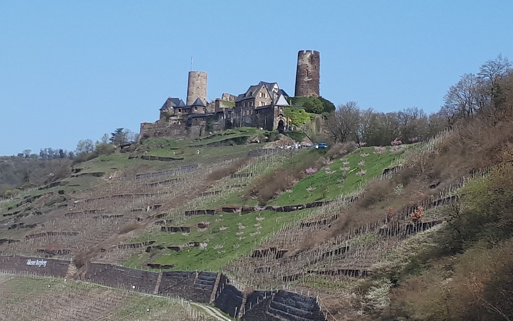 Blick aus südlicher Richtung auf die Burg Thurant bei Alken an der Mosel (2019)