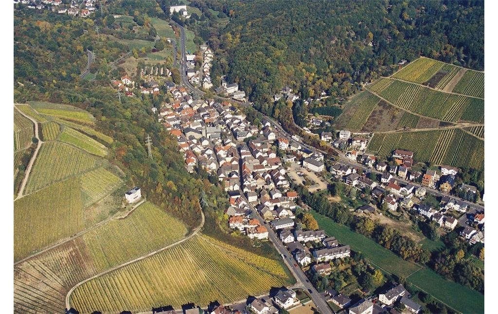 Luftaufnahme von Eltville-Martinsthal (2006)