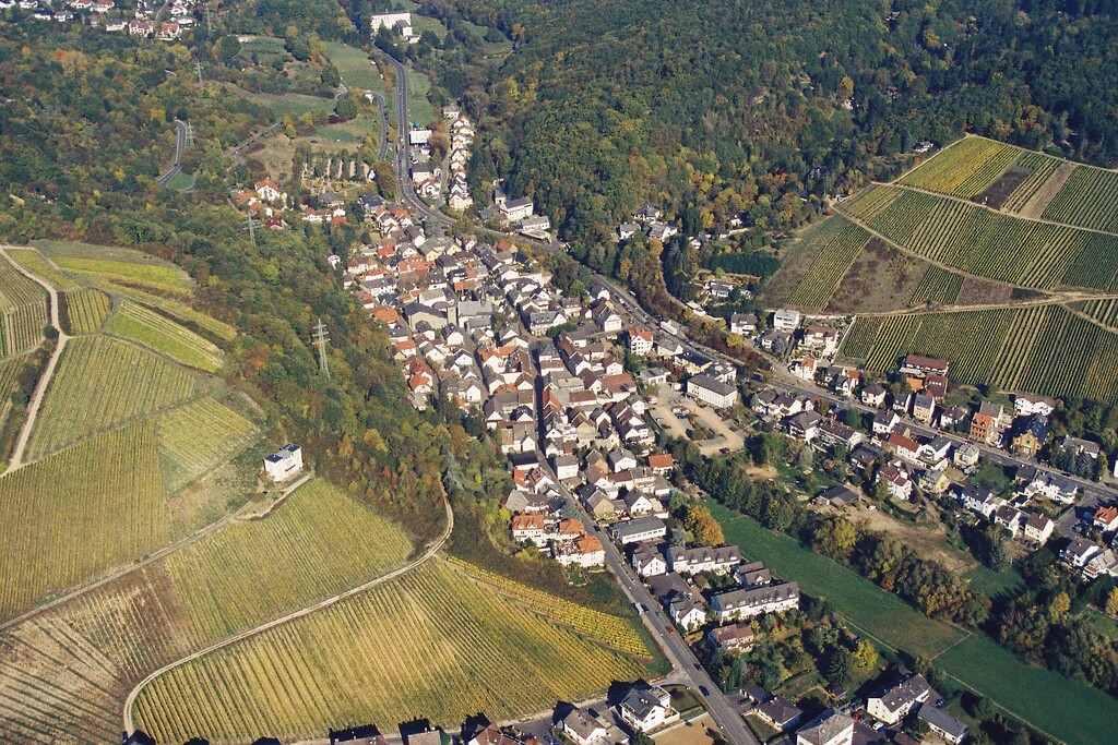 Luftaufnahme von Eltville-Martinsthal (2006)