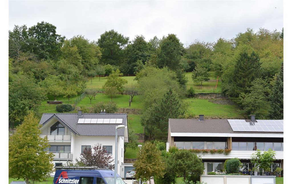 Ehemalige Weinbergsflächen westlich von Bad Bodendorf (2014)