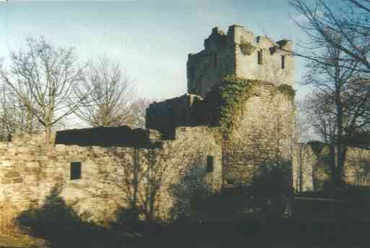 Burg Altendorf (2009)