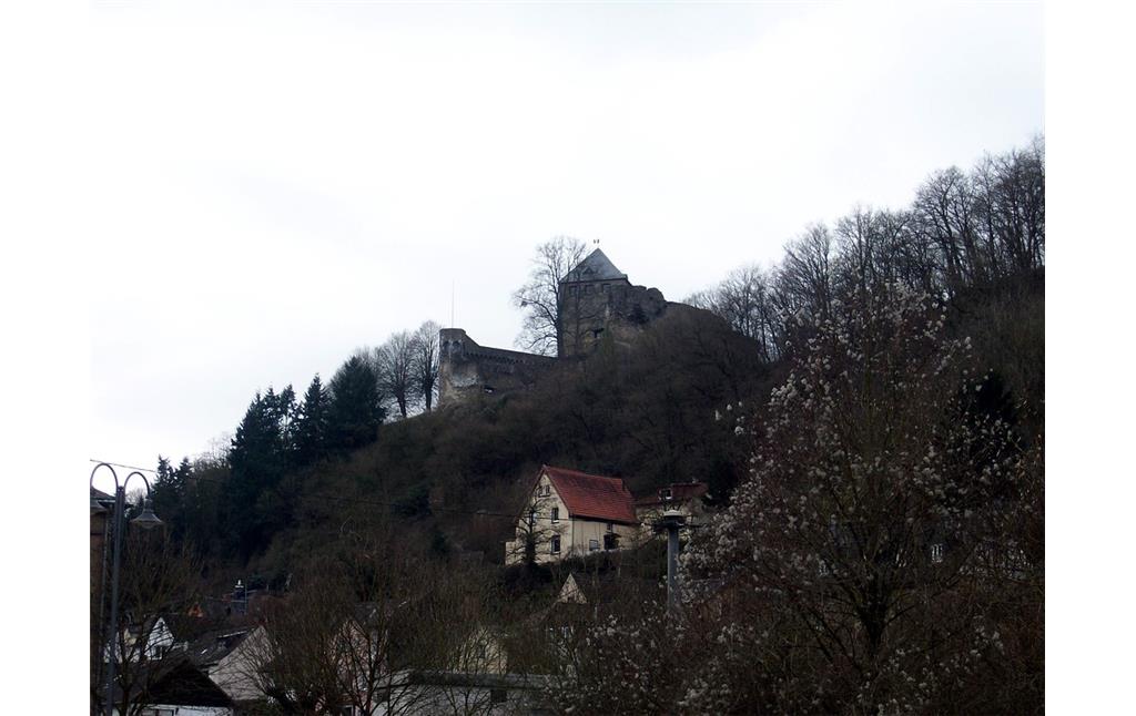Blick vom Tal aus auf die Burg Sayn (2015)