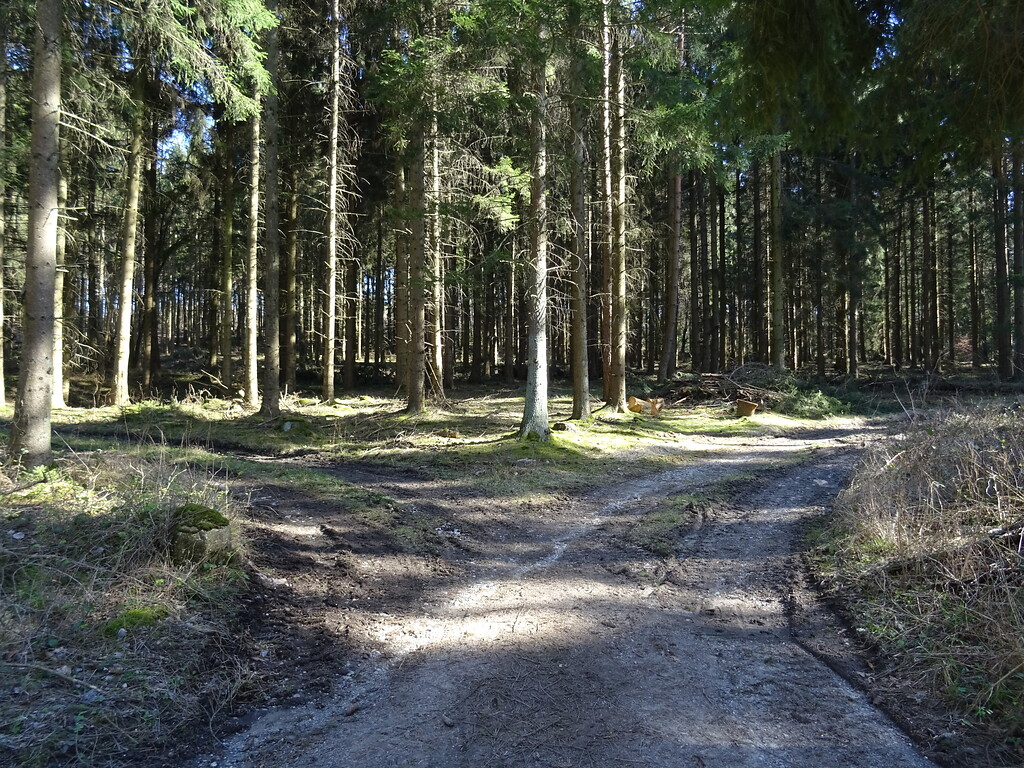 Standortübungsplatz Brander Wald (2020)