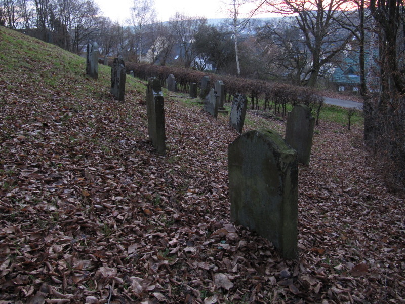 Judenfriedhof am Ehrlichsberg in Miehlen (2012).