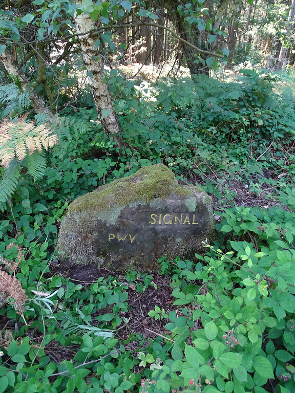 Ritterstein Nr. 27 Signal südwestlich von Böllenborn (2020)