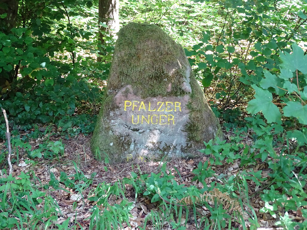 Ritterstein Nr. 19 Pfälzer Unger nördlich von Bobenthal (2020)