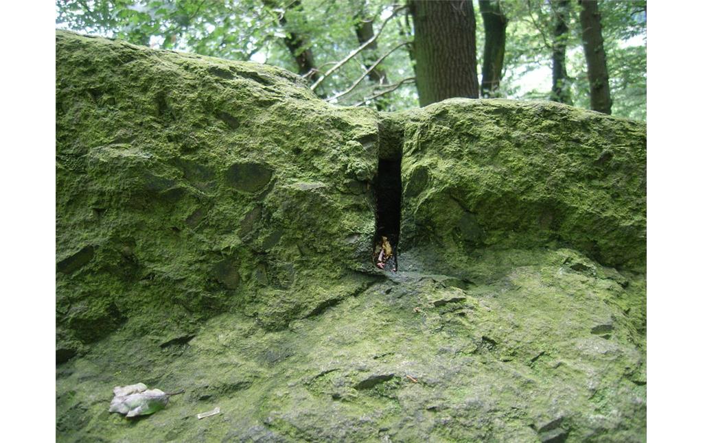 Spaltspuren des historischen Steinabbaus Drachenfels bei Königswinter (2012)