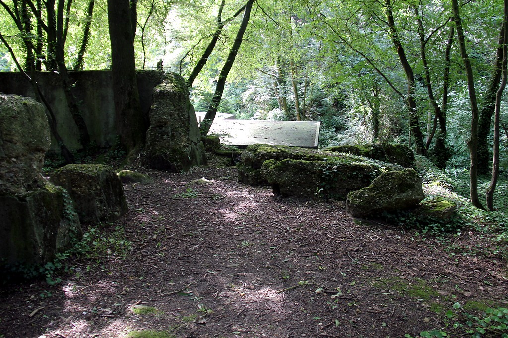 Massive Mauerreste eines Grubengebäudes im Naturpark Worm-Wildnis bei Herzogenrath (2016)