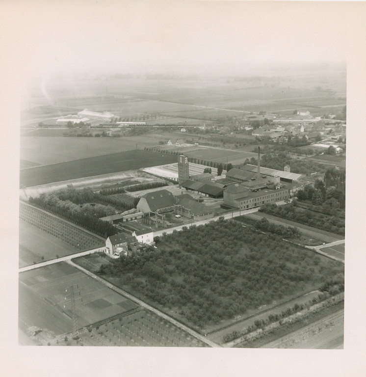 Undatierte historische Luftaufnahme der Grafschafter Krautfabrik in Meckenheim, zentral der 1947 fertiggestellte Wasserturm.