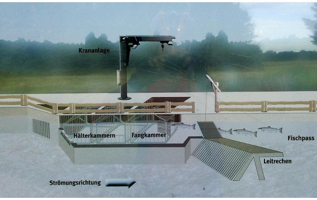 Detailbild zur Funktionsweise der Fischtreppe für Wanderfische auf einer Tafel mit Erläuterungen am Siegwehr Buisdorf bei Sankt Augustin-Buisdorf (2016).
