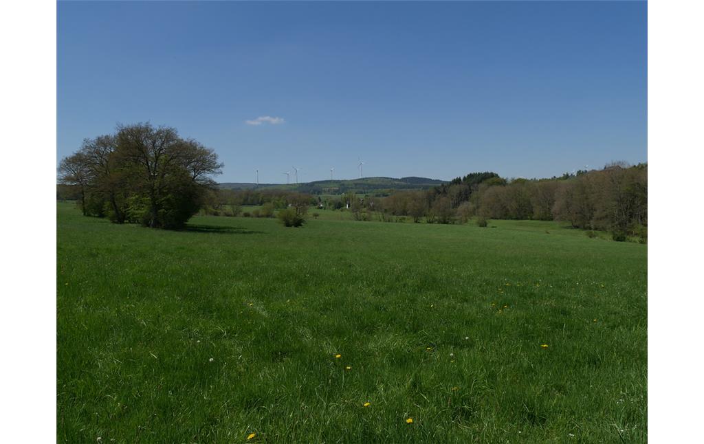 Grünlandflächen bei der Lehnmühle bei Schöneberg, Blickrichtung Westen auf die Lehnmühle (2017)