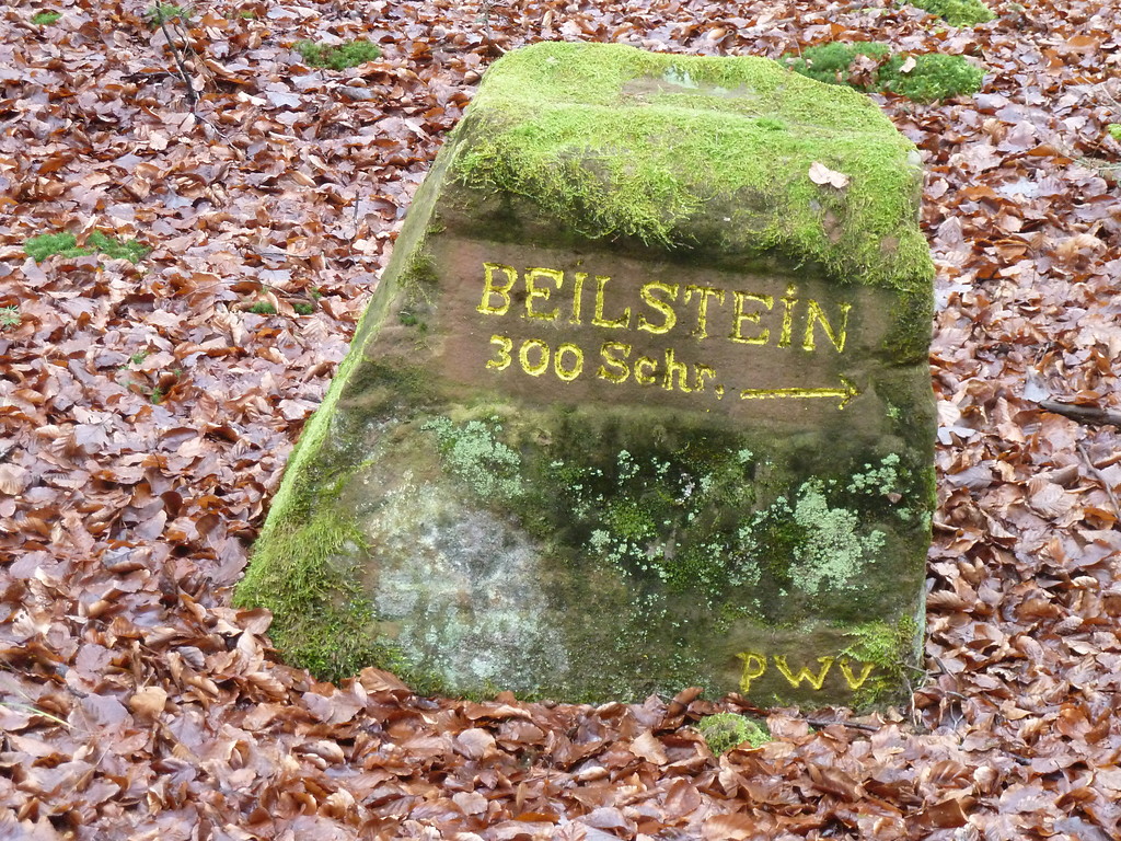 Ritterstein Nr. 162 "Beilstein 300 Schr." bei Kaiserslautern (2017)