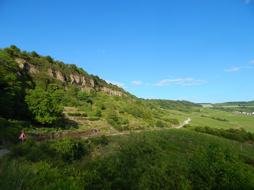 Blick auf die Weinberge bei Nittel mit der imposanten Bruchkante des Nitteler Fels (2017)
