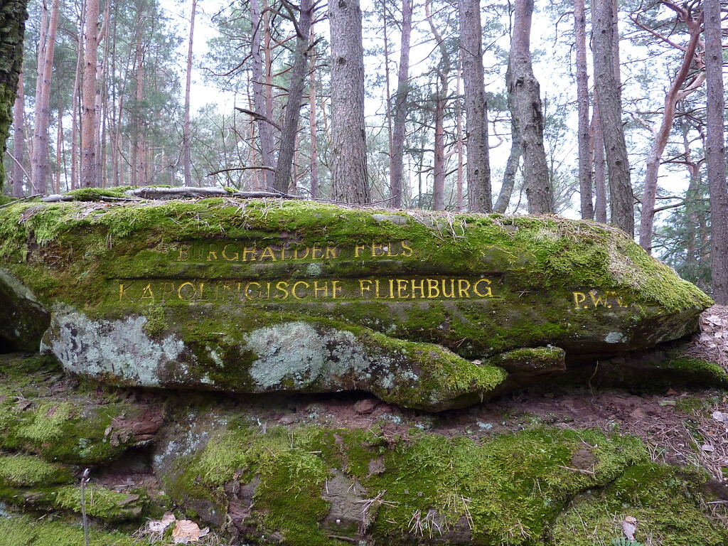 Ritterstein Nr. 219 Burghalder Fels - Karolingische Fliehburg südlich von Hauenstein (2013)