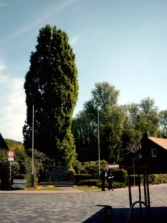 Kriegerehrenmal an der Gabelung Mühlenstraße/Sandstraße in Wassenberg-Birgelen (2003)