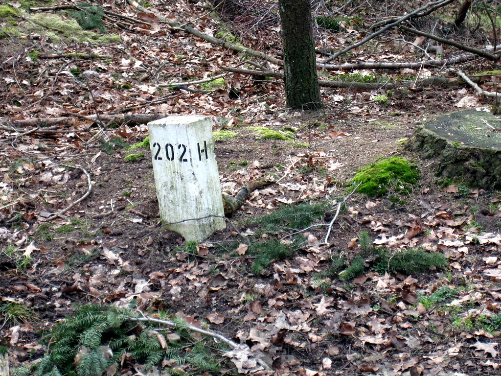 Grenzstein der einzelnen Abteilungen (Gestelle oder Jagen) im Reichswald bei Kleve (2012)
