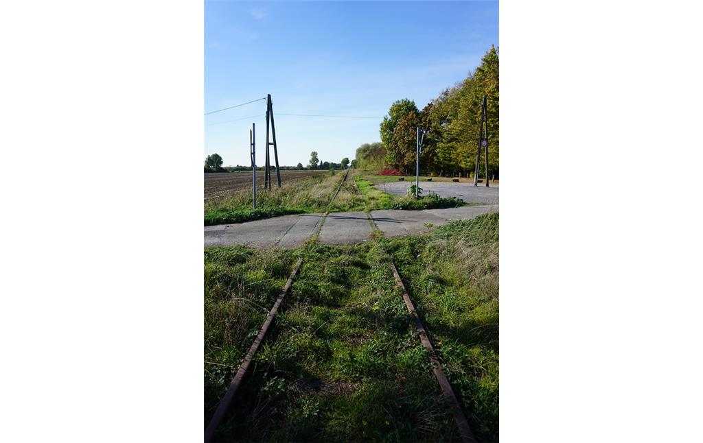 Bahnhof Menzelen-Ost, Blick über die Strecke Richtung Venlo, rechts der ehemalige Bahnsteig, Übergang Borther Weg (2018)