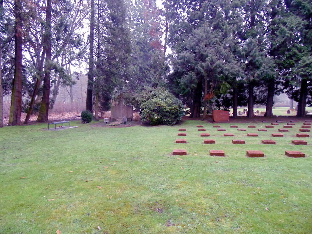 Blick auf das Gräberfeld für polnische (links) Kriegsgefangene und das für sowjetische Kriegsgefangene (rechts) auf dem Westfriedhof in Köln-Vogelsang, die durch einen Busch voneinander abgegrenzt sind (2021).