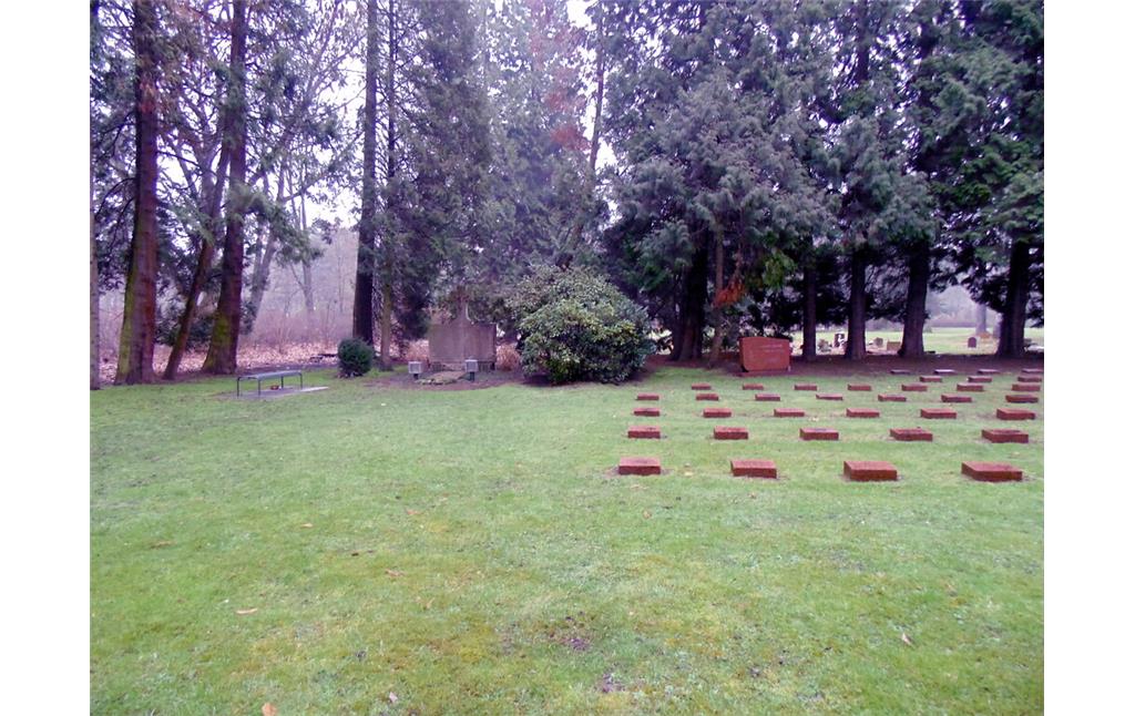 Blick auf das Gräberfeld für polnische (links) Kriegsgefangene und das für sowjetische Kriegsgefangene (rechts) auf dem Westfriedhof in Köln-Vogelsang, die durch einen Busch voneinander abgegrenzt sind (2021).