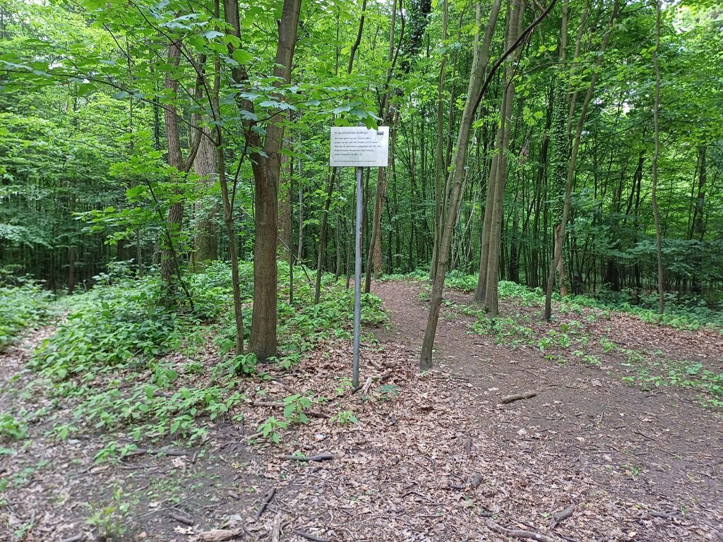 Links des Weges wird ein Grabhügel des Wedauer Hügelgräberfeldes als leichte Erhebungen im Gelände sichtbar (2023).