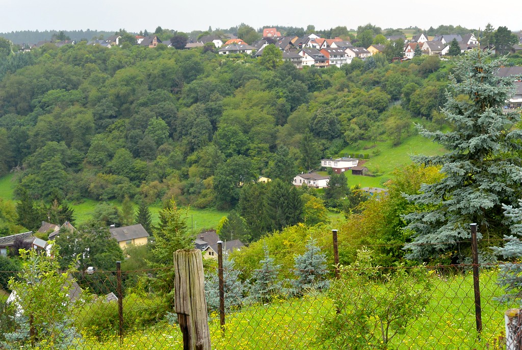 Blick vom Wadenberg Richtung Harbacherstraße Sinzig (2014). Der heute verbuschte und teilweise bewaldete Hang war zu Beginn des 19. Jahrhunderts weinbaulich genutzt.