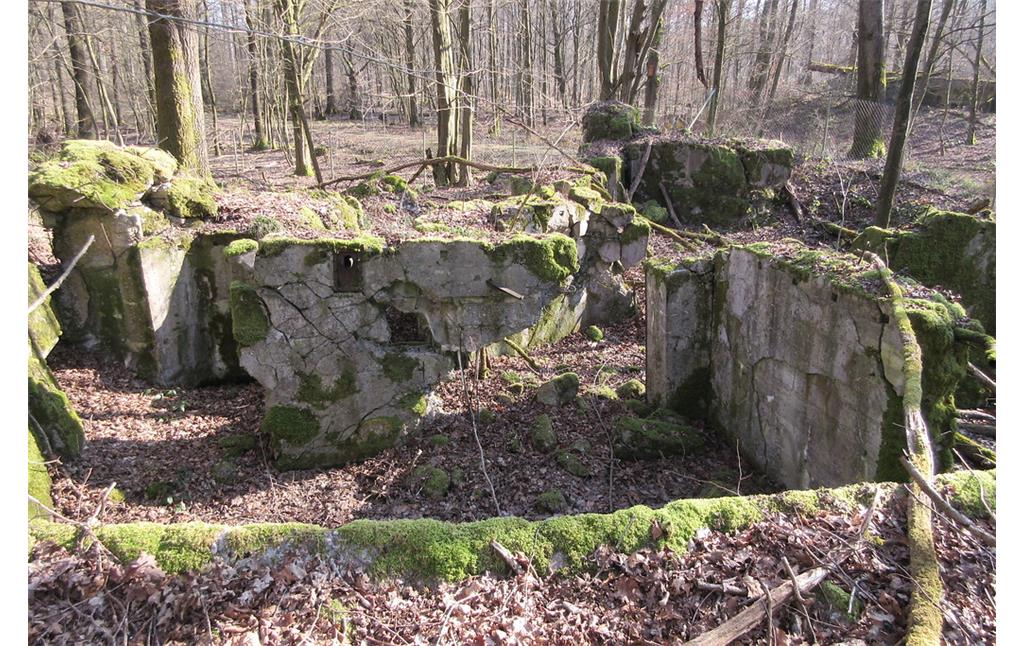 Bunker-Relikte in der Hauptkampflinie des Westwalls im Bienwald (2018)