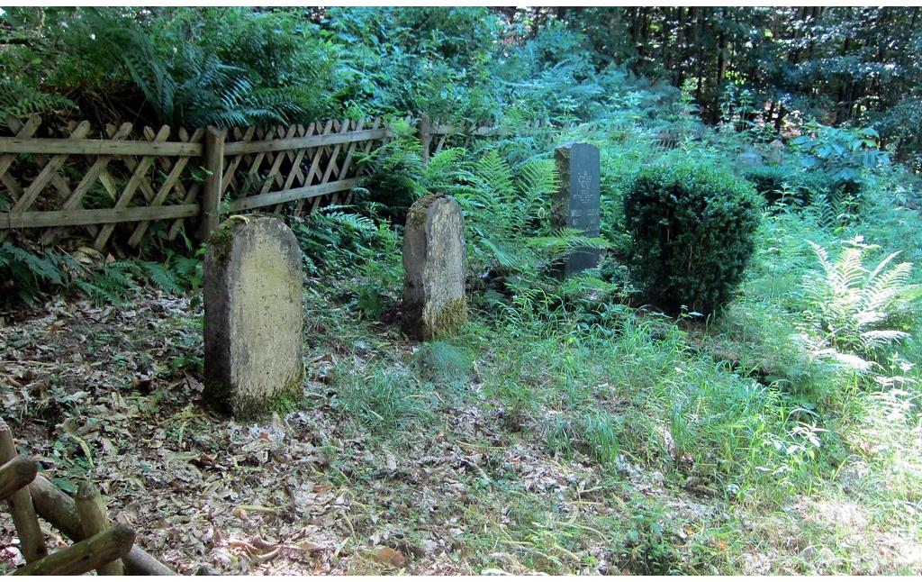 Die obere Gräberreihe auf dem Judenfriedhof auf der Waldlichtung Jünkern in Klotten (2015).