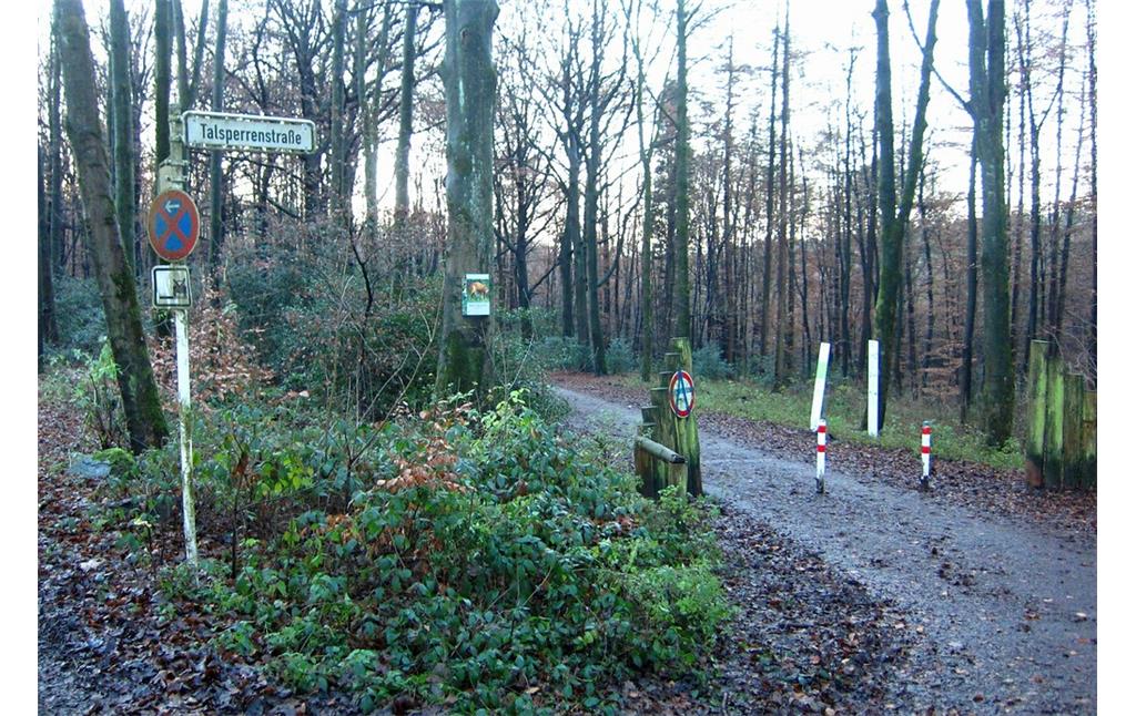 Der im Wald gelegene Zugangsweg "Talsperrenstraße" zur Ronsdorfer Talsperre (2014).
