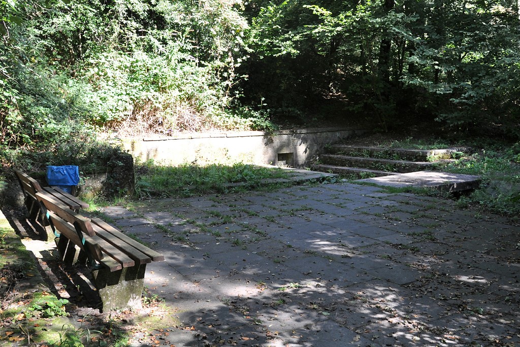 Quellbereich "Heiliger Brunnen" im Duisburger Stadtwald (2016).