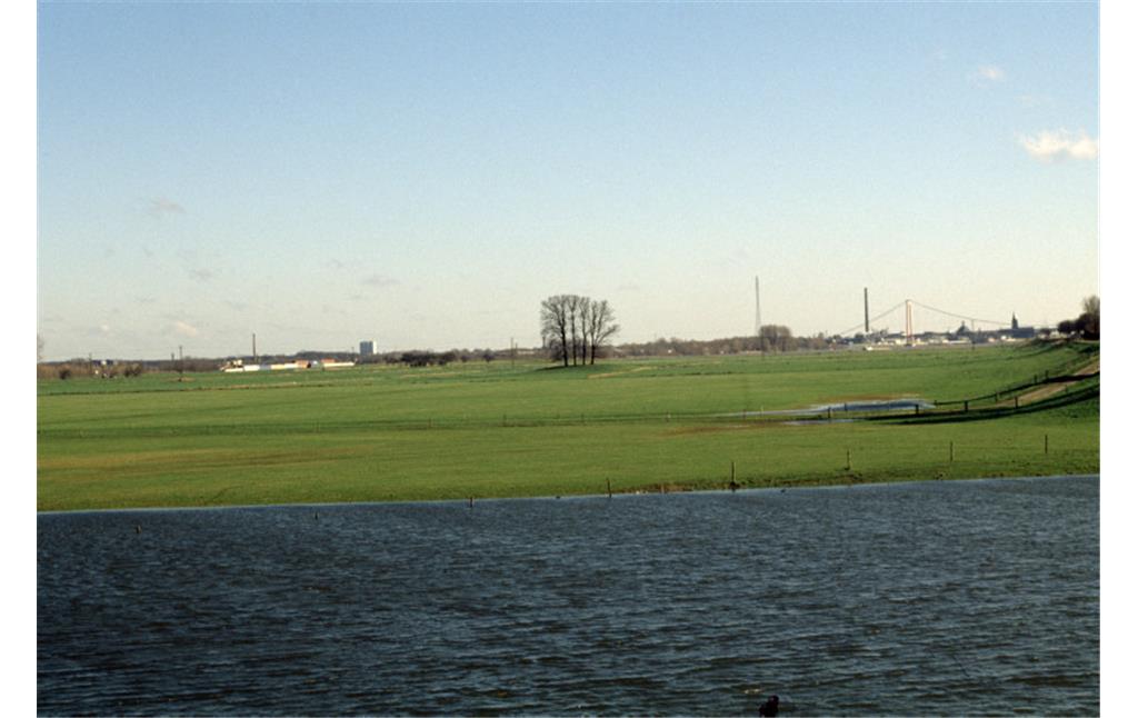 Baumbestandene Wurt in der Rheinaue bei Kleve-Griethausen, Kreis Kleve