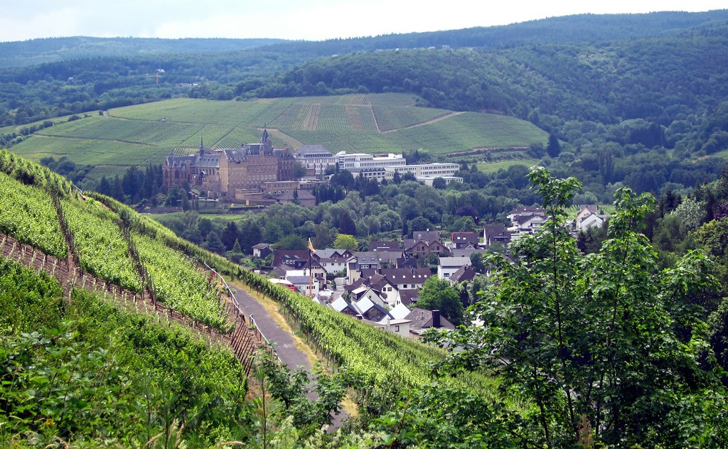 Ahrweiler und der dahinter liegende Bereich des früheren Klosters Calvarienberg. Blick auf den Stadtteil über die Weinberge am Silberberg von der Dokumentationsstätte Regierungsbunker aus (2015).
