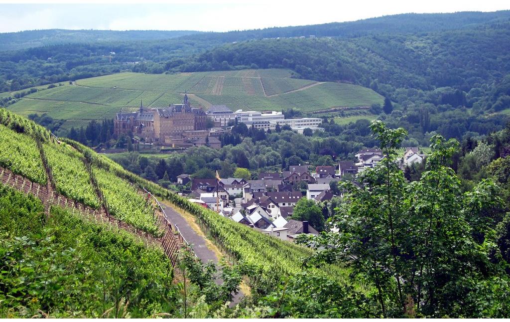 Ahrweiler und der dahinter liegende Bereich des früheren Klosters Calvarienberg. Blick auf den Stadtteil über die Weinberge am Silberberg von der Dokumentationsstätte Regierungsbunker aus (2015).