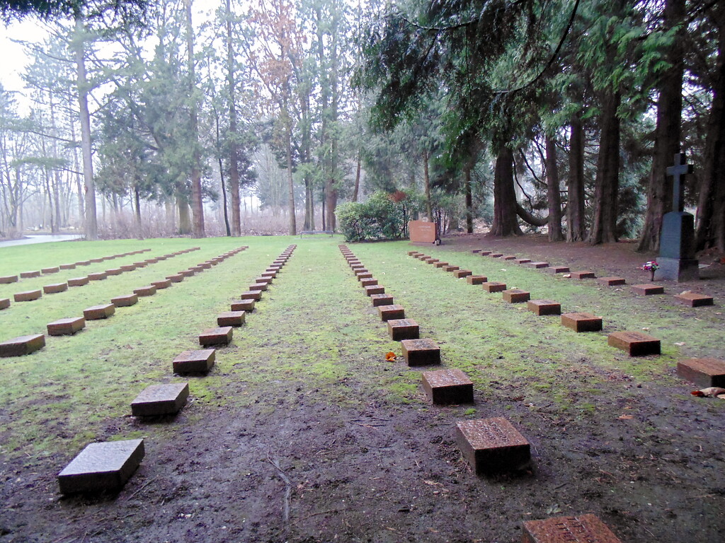 Blick auf die Grabreihen auf dem Gräberfeld für sowjetische Kriegsgefangene auf dem Westfriedhof in Köln-Vogelsang (2021).