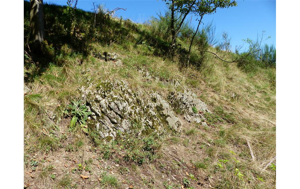 Felsen auf Magerweide im Naturschutzgebiet Hangmulde Strasserhof bei Morsbach (2016)