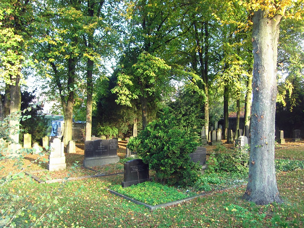 Gräberfeld des Jüdischen Friedhofs Alleestraße in Jüchen (2013)