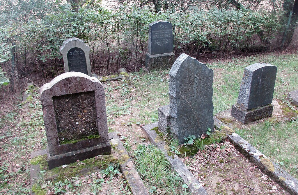 Jüdischer Friedhof Lommersum, Blick über einen Teil des Gräberfelds (2020).