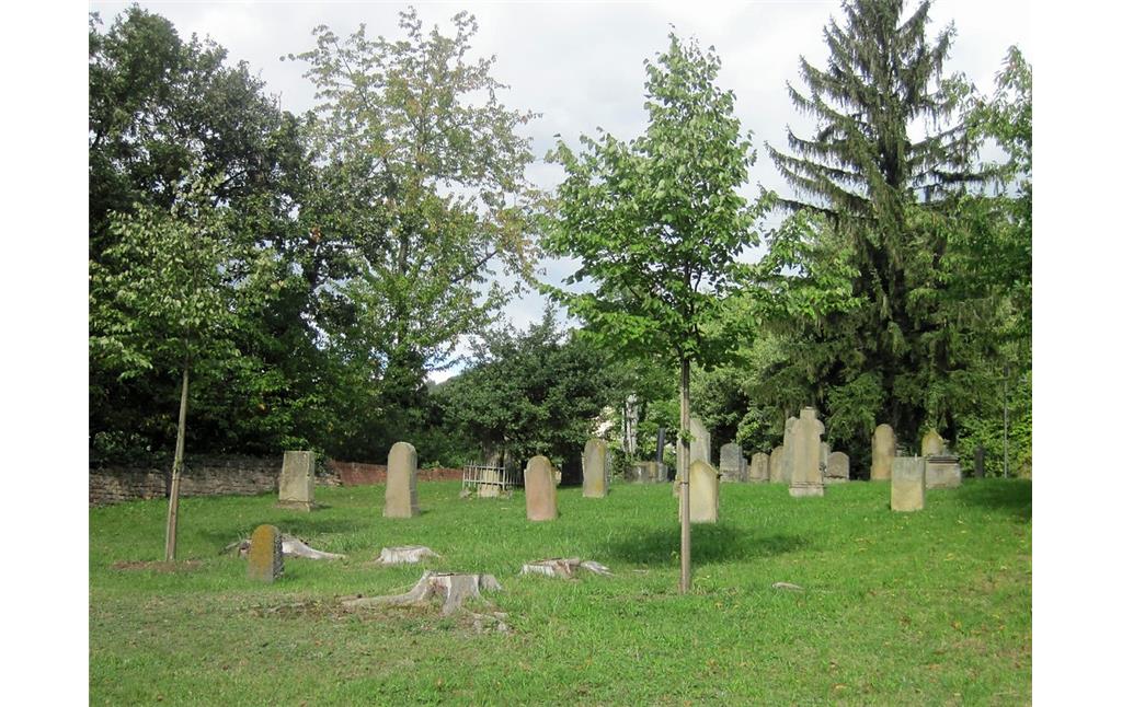 Rückansicht der Grabsteine auf dem hinteren Teil des jüdischen Friedhofs Nispelter Kehr in Bullay (2015)