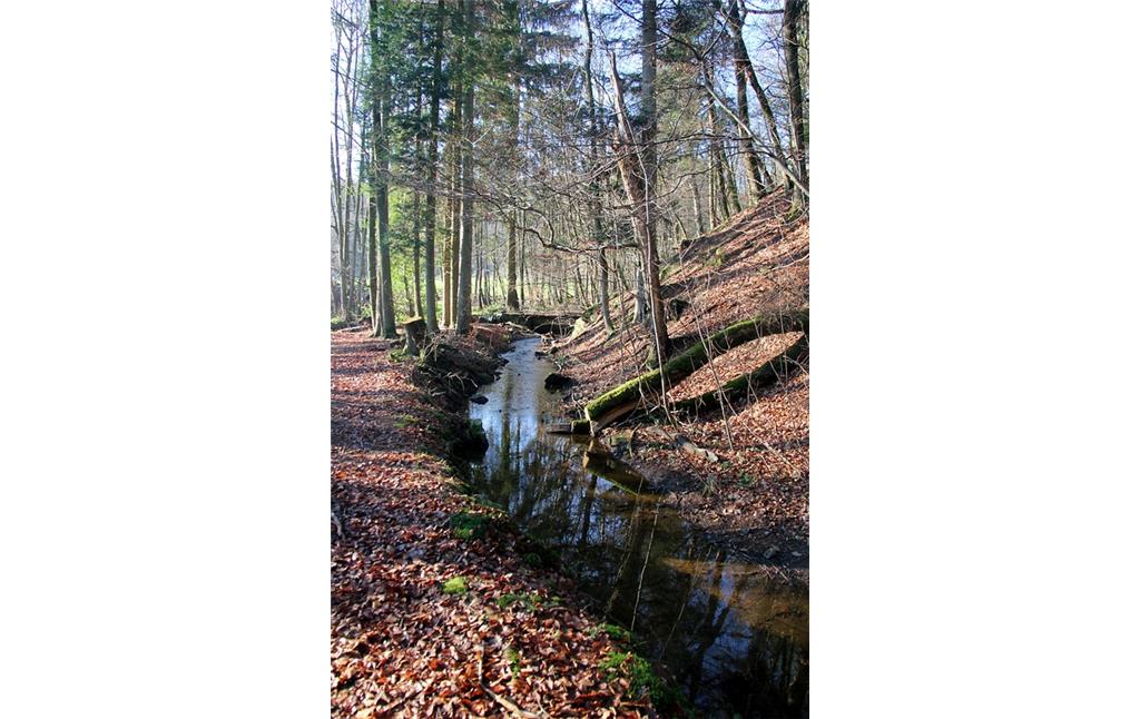 Teil des um 1700 angelegten Kanals im Wassersystem der Eisenhütte Abentheuer (2015)