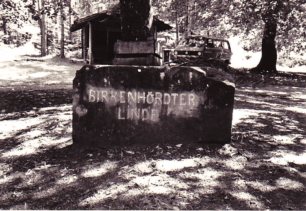 Ritterstein Nr. 199 Birkenhördter Linde südwestlich von Birkenhördt (1993)