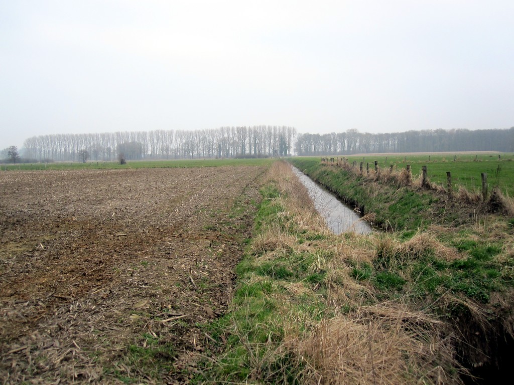 Entwässerungsgraben "Mittelley" im Uedemerbruch (2011)