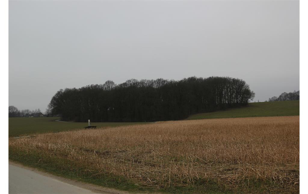 Uedemerfeld bei der Hohen Mühle (2013) mit Ackerflächen und einem Waldstück am Hang.