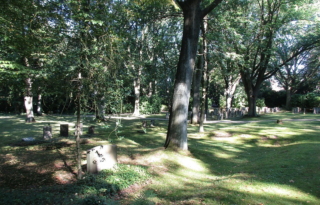 Blick über das Gräberfeld des neuen jüdischen Friedhofs auf dem Waldfriedhof in Duisburg (2016).