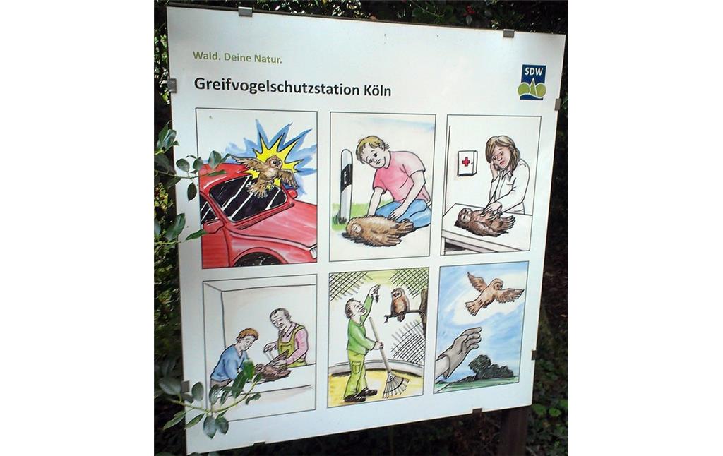 Informationsschild der Greifvogelschutzstation Köln am Guthof Leidenhausen bei Köln-Eil, über Zeichnungen ist der Ablauf der Versorgung eines verletzten Greifvogels dargestellt (2015).