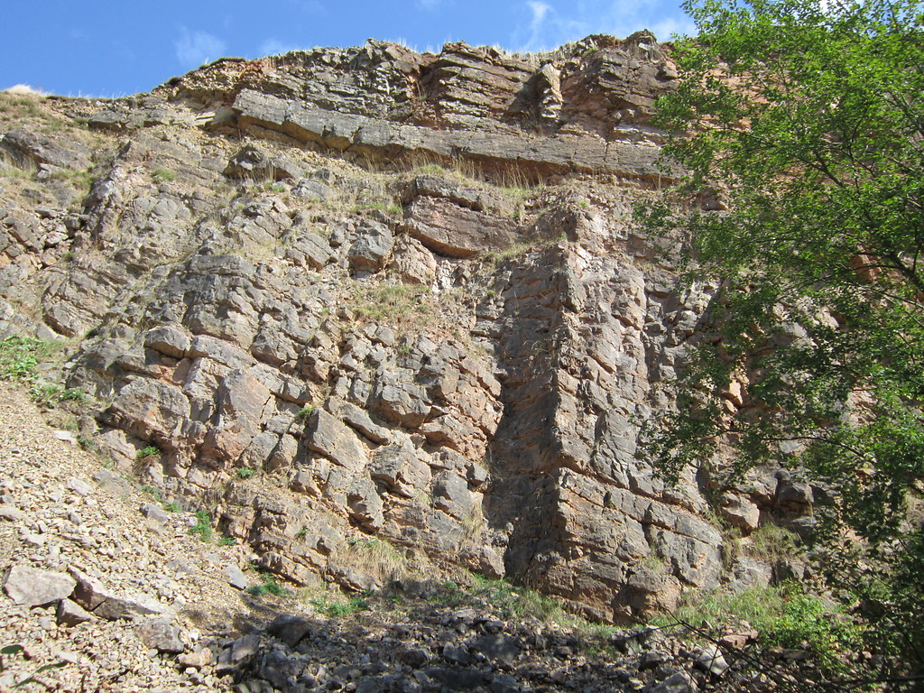 Aufschluss im Kalksteinbruch in Dahlem-Baasem (2013)
