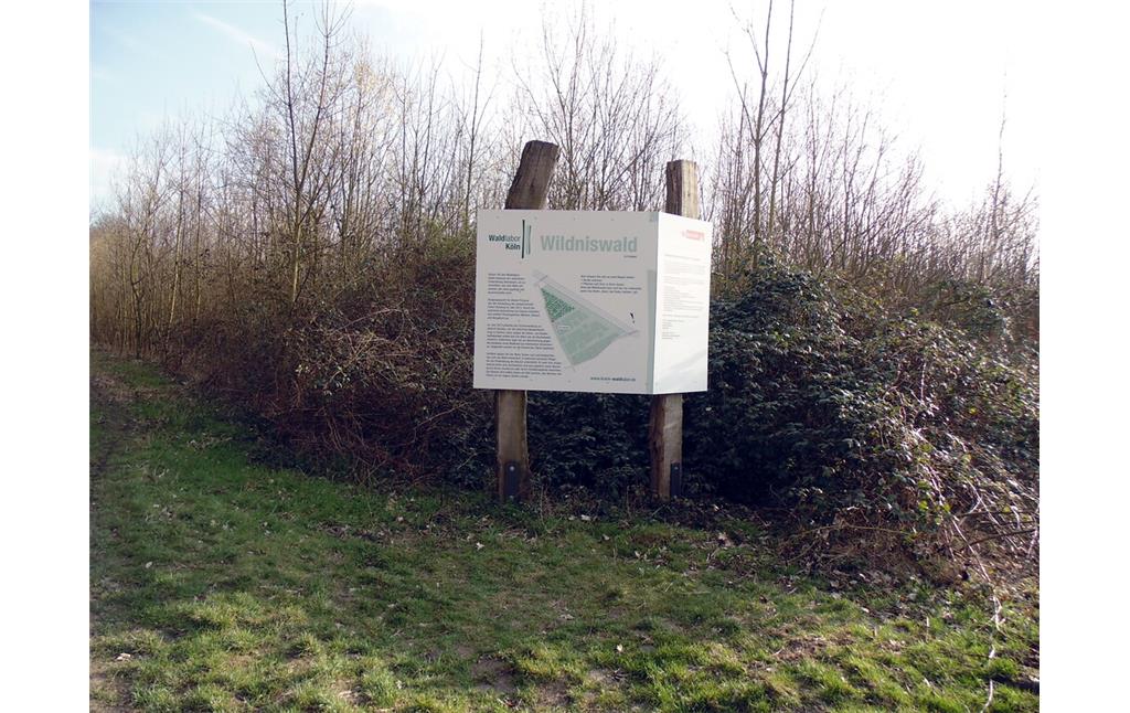Informationstafel am vom restlichen Waldlabor gesondert liegenden Wildniswald im Stadtwald in Köln-Junkersdorf (2021). Er ist der Natur überlassen und wird nicht gepflegt.