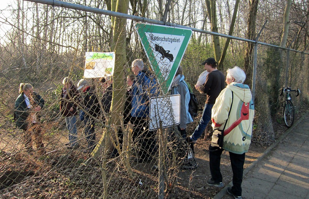 Eine Besuchergruppe im Naturschutzgebiet Dellbrücker Heide, Eingang im Lupinenweg (2012).