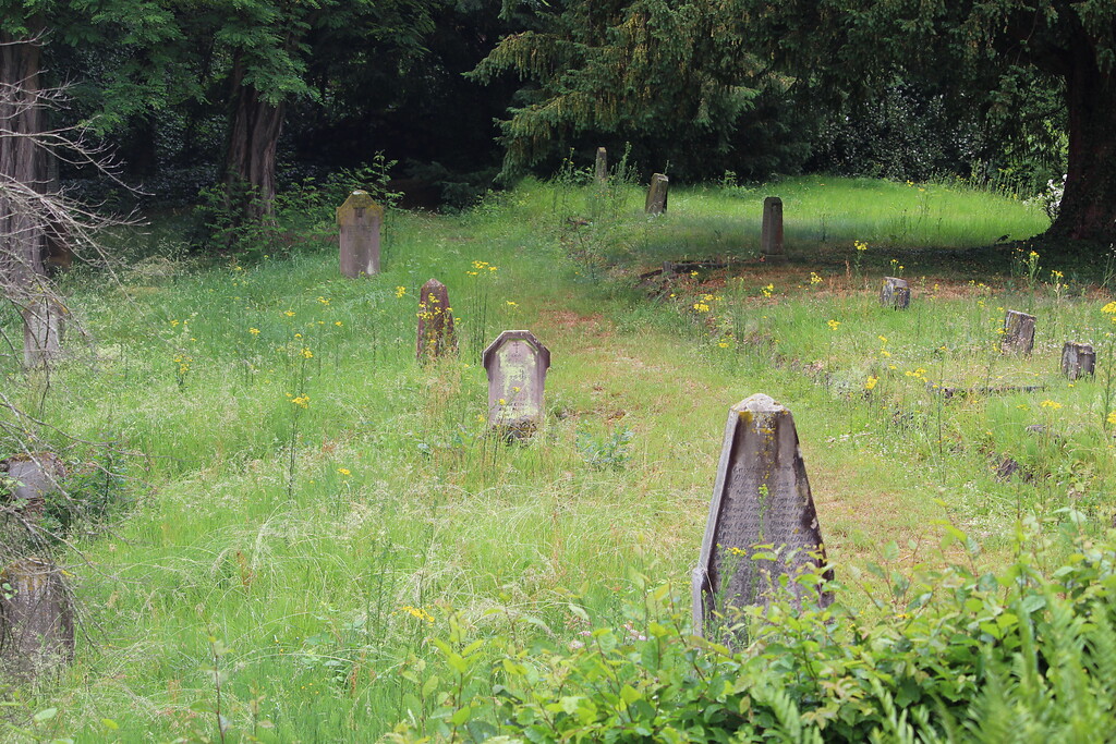 Alte Grabsteine auf dem Friedhof französischer Soldaten in Lützel (2020).
