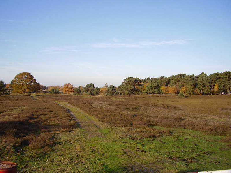 Die Westruper Heide bei Haltern, Kreis Recklinghausen